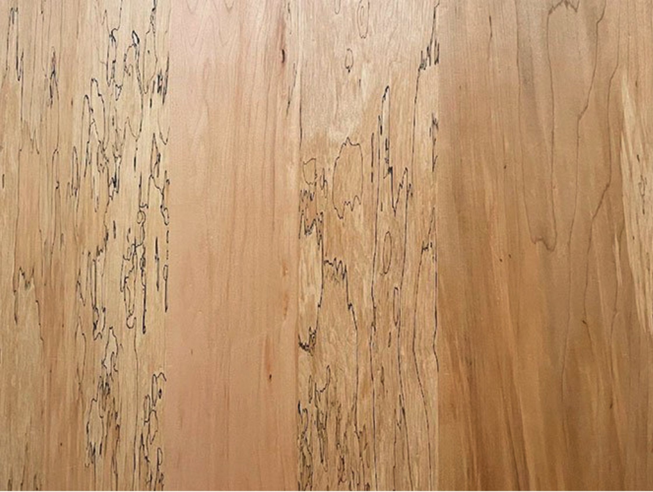 Spalted Maple Veneer | Vermont Wildwoods